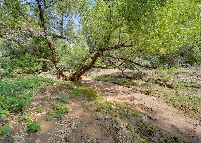 Holiday home Forest-view 'foxwood Cottage' In Star Valley! Payson